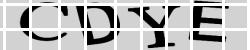 Retype the CAPTCHA code from the image